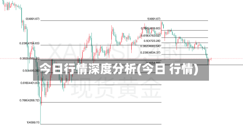 今日行情深度分析(今日 行情)