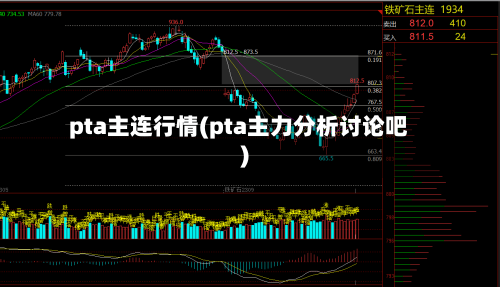 pta主连行情(pta主力分析讨论吧)