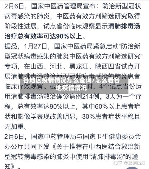 各地区疫情情况怎么查询/怎么看各地疫情情况