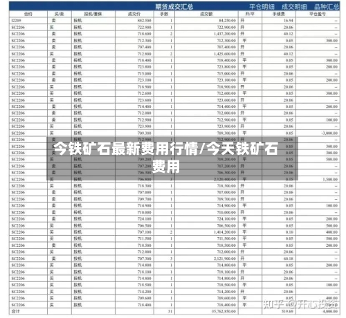 今铁矿石最新费用行情/今天铁矿石费用