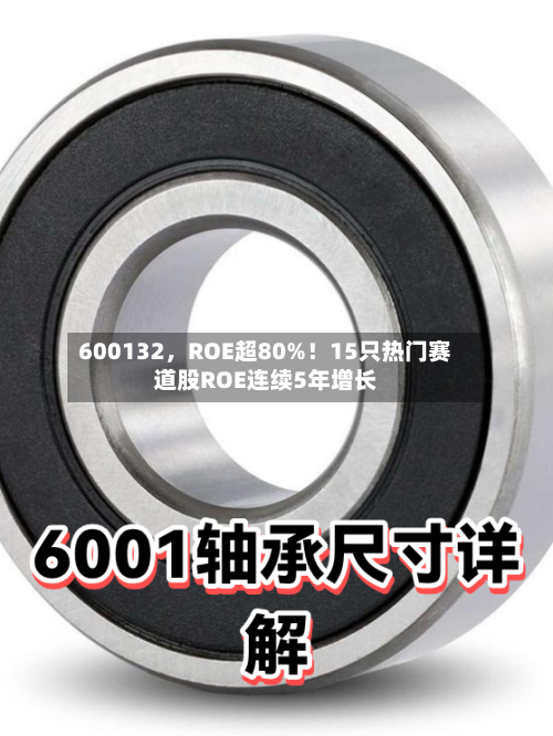 600132，ROE超80%！15只热门赛道股ROE连续5年增长-第2张图片