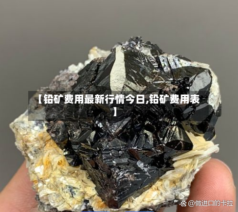 【铅矿费用最新行情今日,铅矿费用表】