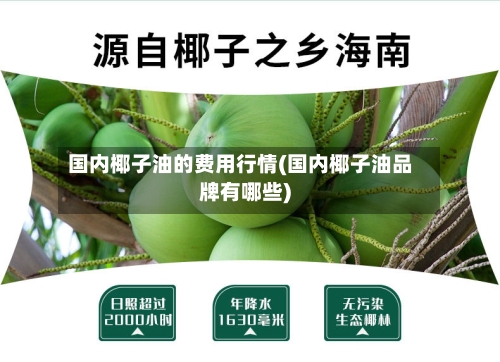 国内椰子油的费用行情(国内椰子油品牌有哪些)-第2张图片