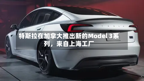 特斯拉在加拿大推出新的Model 3系列，来自上海工厂-第3张图片