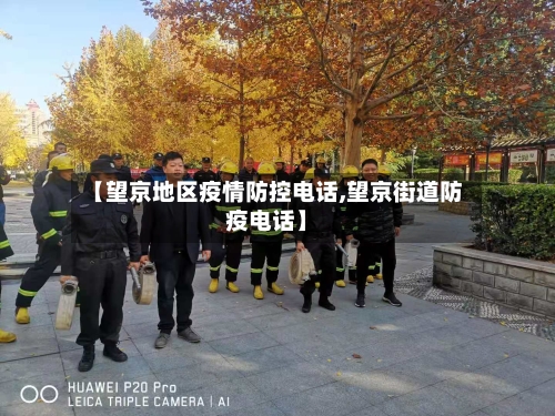【望京地区疫情防控电话,望京街道防疫电话】