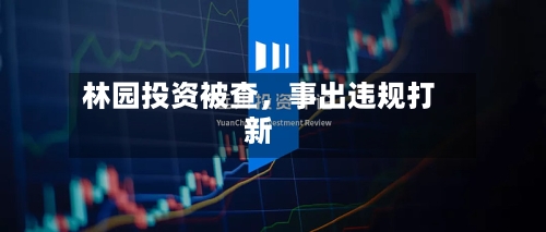林园投资被查	，事出违规打新-第2张图片