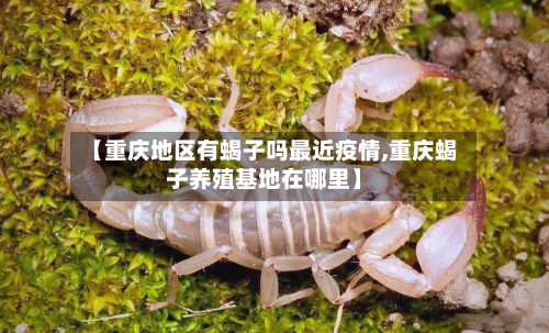 【重庆地区有蝎子吗最近疫情,重庆蝎子养殖基地在哪里】