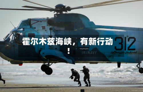 霍尔木兹海峡，有新行动！