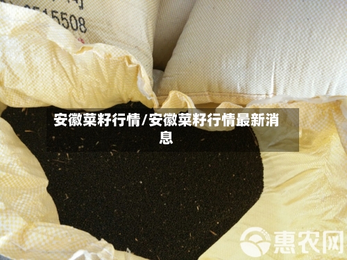 安徽菜籽行情/安徽菜籽行情最新消息
