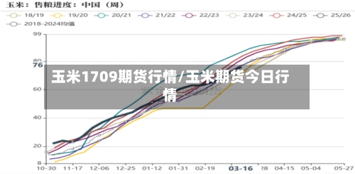 玉米1709期货行情/玉米期货今日行情