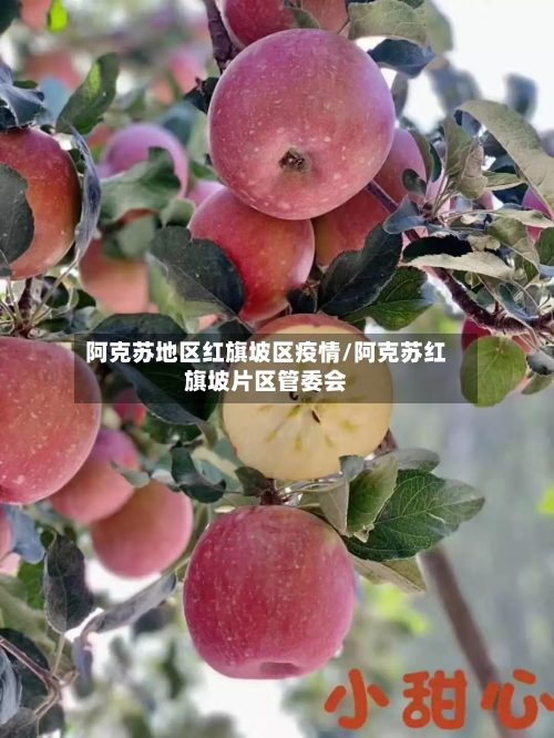 阿克苏地区红旗坡区疫情/阿克苏红旗坡片区管委会