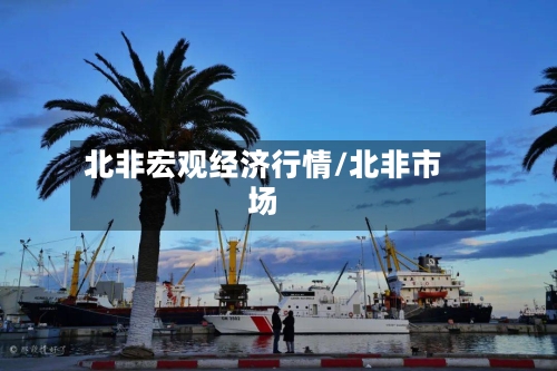 北非宏观经济行情/北非市场