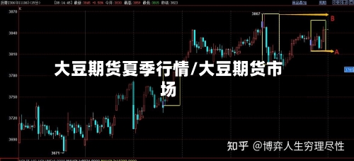 大豆期货夏季行情/大豆期货市场-第3张图片