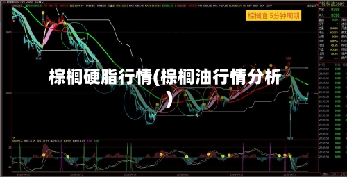 棕榈硬脂行情(棕榈油行情分析)