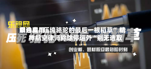 燃油费用飙升成“压垮骆驼的最后一根稻草” 精神航空律师称除停运外“别无选取”-第2张图片