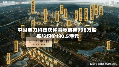 中国宝力科技获许雪琴增持998万股 每股均价约0.5港元