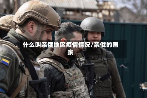 什么叫亲俄地区疫情情况/亲俄的国家