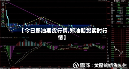 【今日郑油期货行情,郑油期货实时行情】