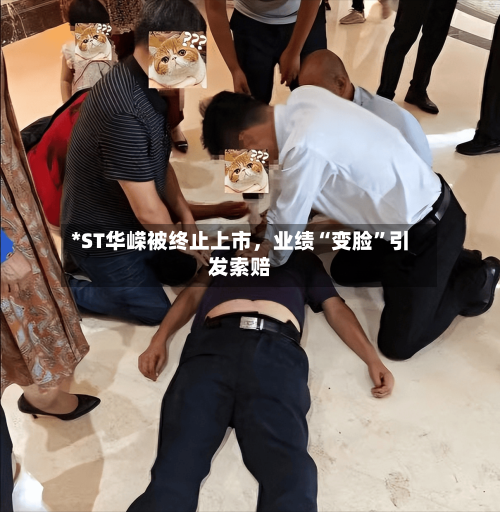 *ST华嵘被终止上市，业绩“变脸”引发索赔-第3张图片