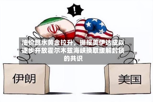 油价跳水黄金拉升，据报美伊达成以逐步开放霍尔木兹海峡换取缓解封锁的共识