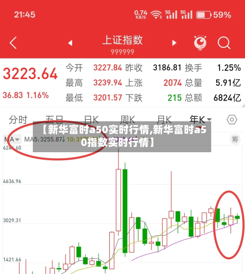 【新华富时a50实时行情,新华富时a50指数实时行情】