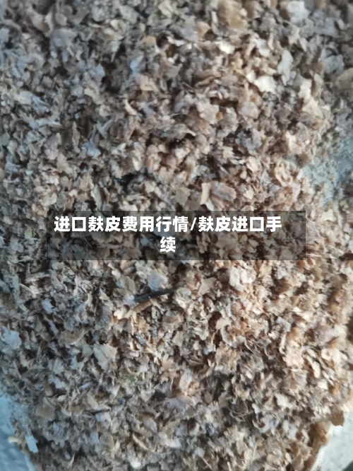 进口麸皮费用行情/麸皮进口手续