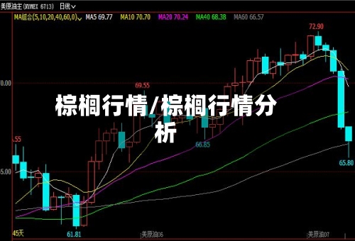 棕榈行情/棕榈行情分析