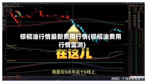 棕榈油行情最新费用行情(棕榈油费用行情监测)