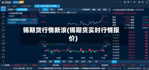 锡期货行情新浪(锡期货实时行情报价)-第3张图片