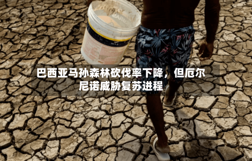 巴西亚马孙森林砍伐率下降，但厄尔尼诺威胁复苏进程-第2张图片