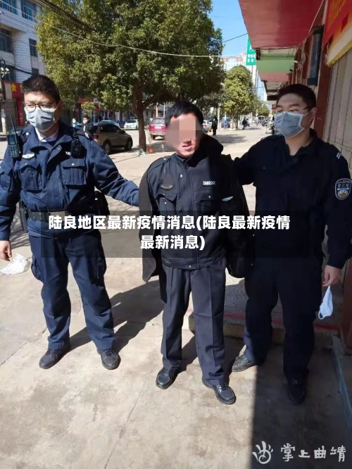 陆良地区最新疫情消息(陆良最新疫情最新消息)-第3张图片