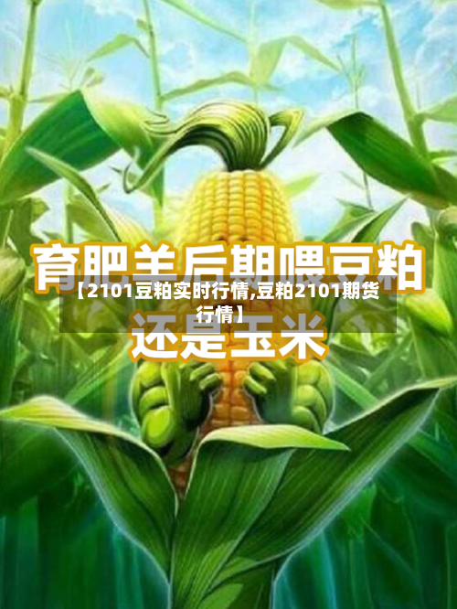 【2101豆粕实时行情,豆粕2101期货行情】-第3张图片