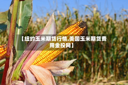 【纽约玉米期货行情,美国玉米期货费用金投网】
