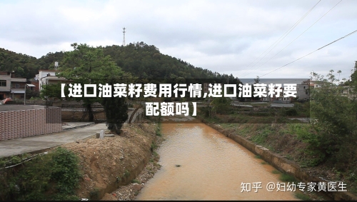【进口油菜籽费用行情,进口油菜籽要配额吗】