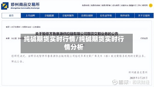 纯碱期货实时行情/纯碱期货实时行情分析-第3张图片