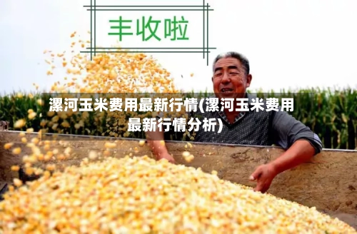 漯河玉米费用最新行情(漯河玉米费用最新行情分析)