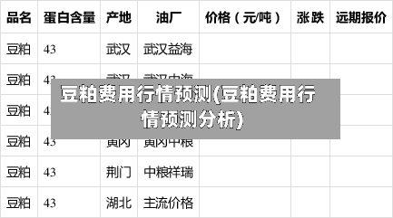 豆粕费用行情预测(豆粕费用行情预测分析)