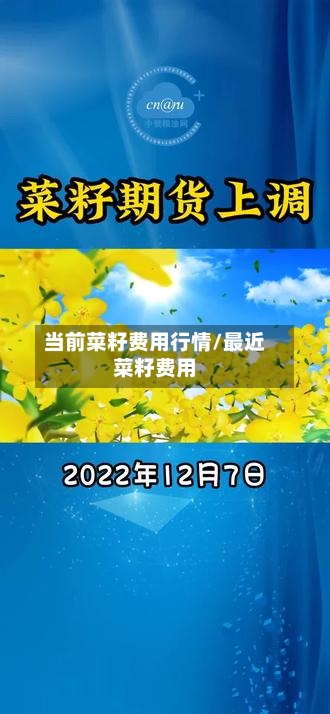 当前菜籽费用行情/最近菜籽费用-第3张图片