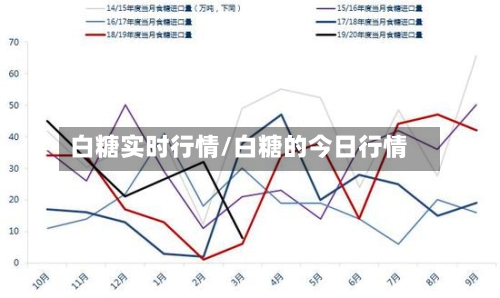 白糖实时行情/白糖的今日行情