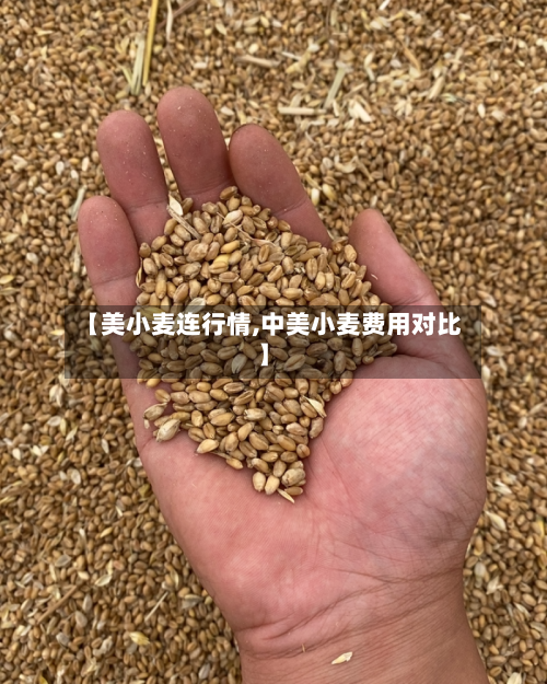 【美小麦连行情,中美小麦费用对比】