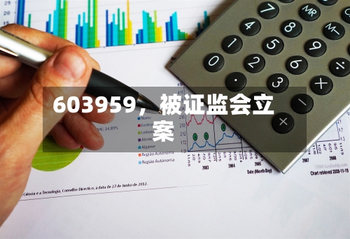 603959，被证监会立案