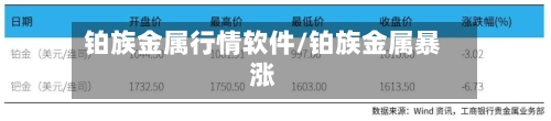 铂族金属行情软件/铂族金属暴涨-第3张图片