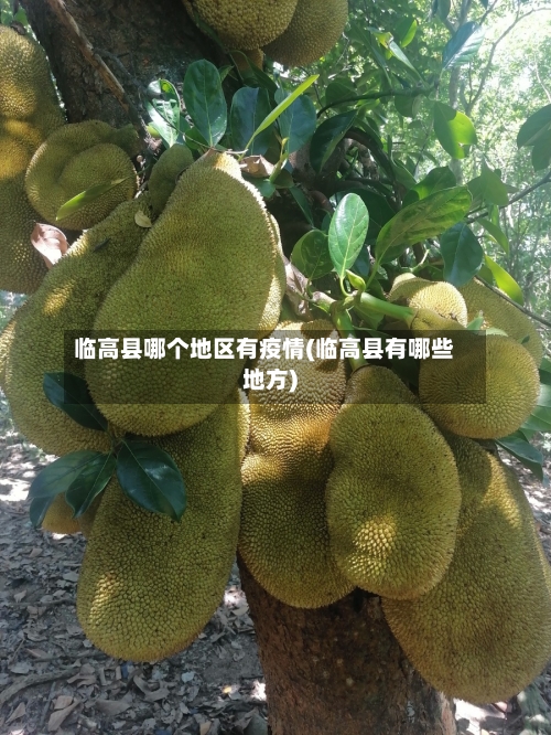 临高县哪个地区有疫情(临高县有哪些地方)