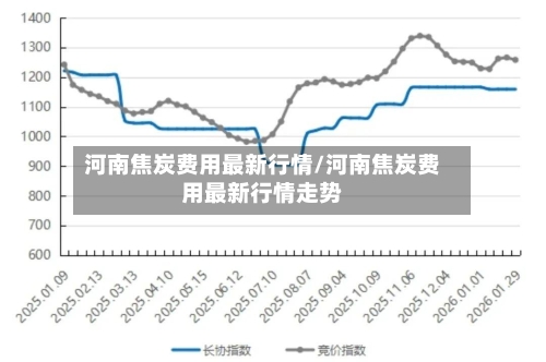 河南焦炭费用最新行情/河南焦炭费用最新行情走势