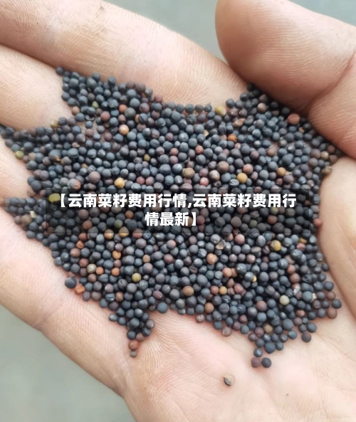 【云南菜籽费用行情,云南菜籽费用行情最新】-第2张图片