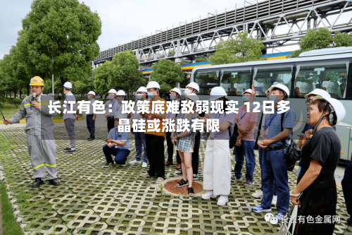 长江有色：政策底难敌弱现实 12日多晶硅或涨跌有限-第2张图片