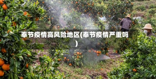 奉节疫情高风险地区(奉节疫情严重吗)
