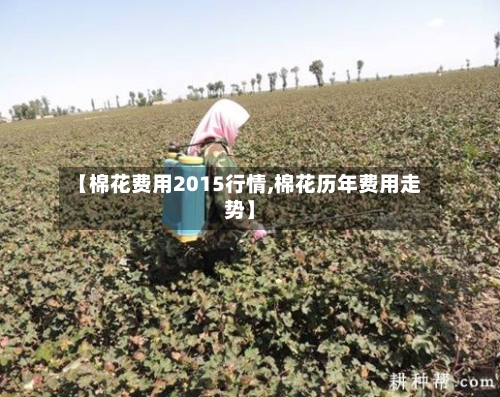 【棉花费用2015行情,棉花历年费用走势】