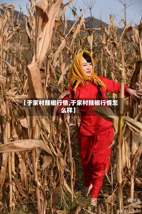 【于家村辣椒行情,于家村辣椒行情怎么样】