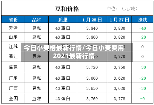 今日小麦格最新行情/今日小麦费用2021最新行情